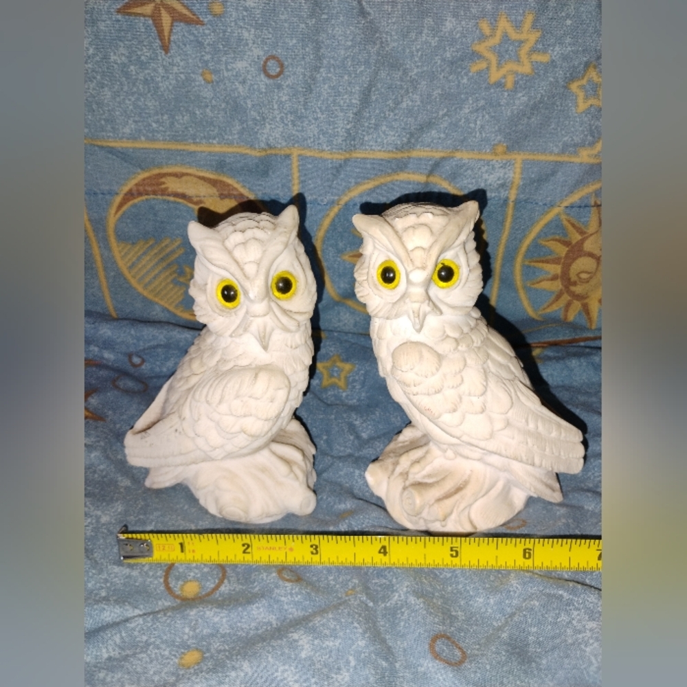 Heavy accent owls